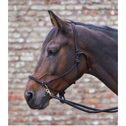 Waldhausen Knotted Rope Halter & Reins